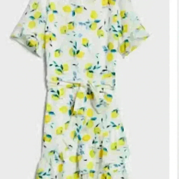 Banana Republic Frill Fit And Flare Lemon Print Dress - Picture 2 of 11